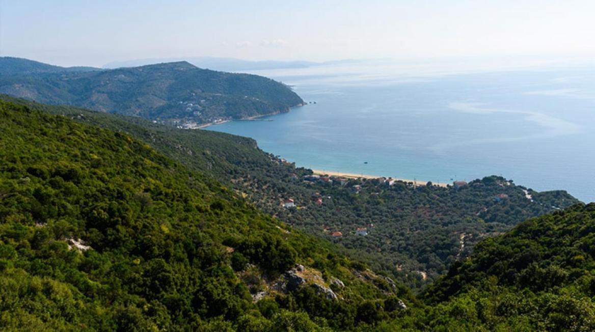Oniropetra Pelion Mikro Exteriör bild